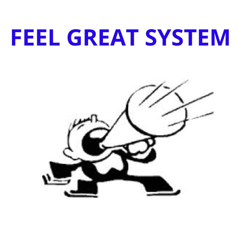6 Day Try It: Feel Great System