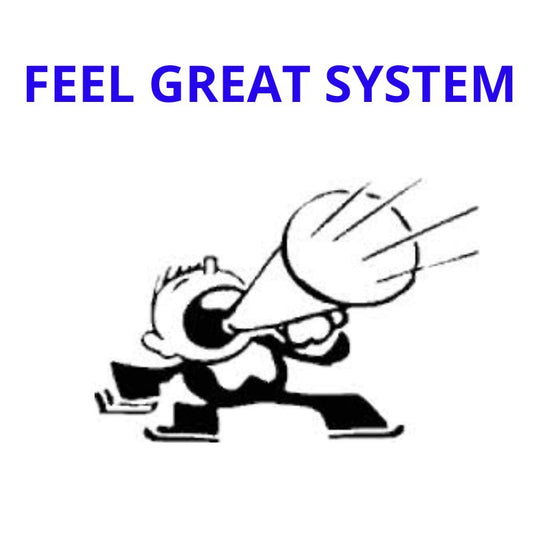 6 Day Try It:  Feel Great System